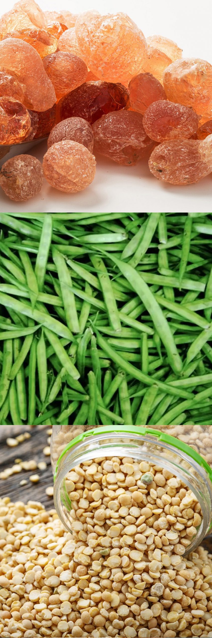 「营养补」的欧美洲蔬果萃取成分