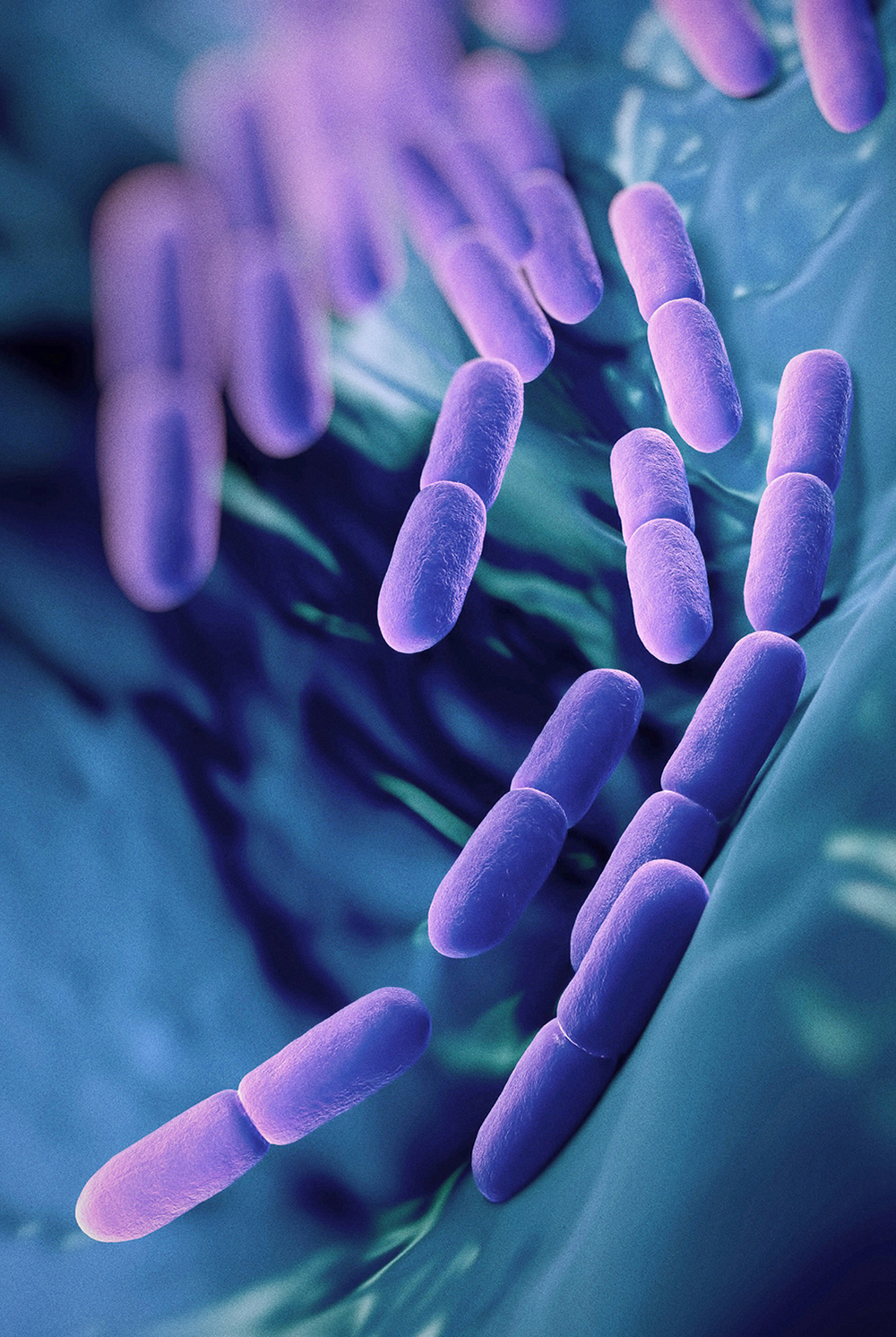 probiotics-ThinkstockPhotos-477539840-square-edit3-medium